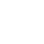 Icono Branding (1)