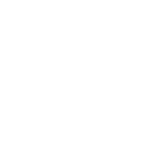 Icono Branding (10)