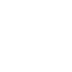 Icono Branding (5)