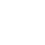 Icono Branding (9)
